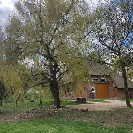 Deichkind - Reetdachhaus Direkt Am Elbdeich アパート