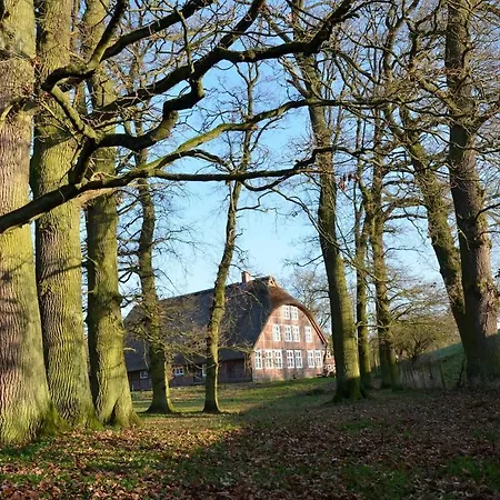 Deichkind - Reetdachhaus Direkt Am Elbdeich Modlich