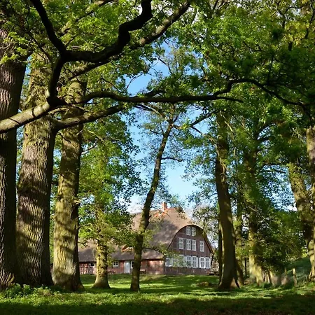 Apartman Deichkind - Reetdachhaus Direkt Am Elbdeich Modlich