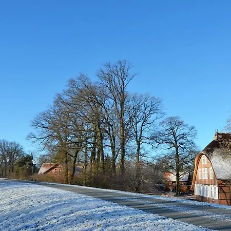 Deichkind - Reetdachhaus Direkt Am Elbdeich アパート