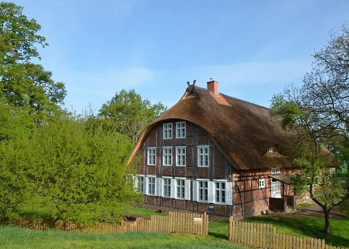 Deichkind - Reetdachhaus Direkt Am Elbdeich Modlich