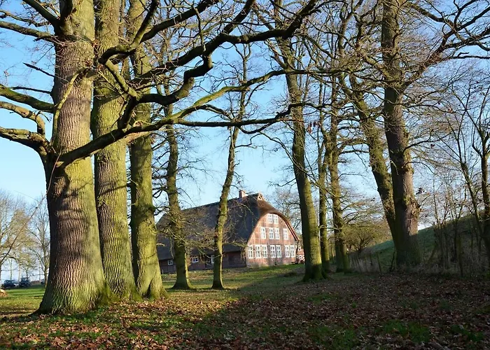 Deichkind - Reetdachhaus Direkt Am Elbdeich Modlich