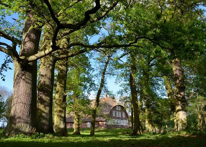 Appartement Deichkind - Reetdachhaus Direkt Am Elbdeich Modlich