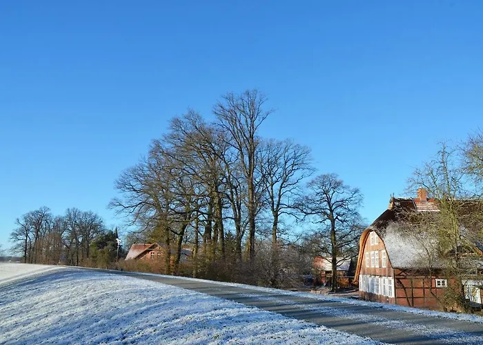 Deichkind - Reetdachhaus Direkt Am Elbdeich Appartement